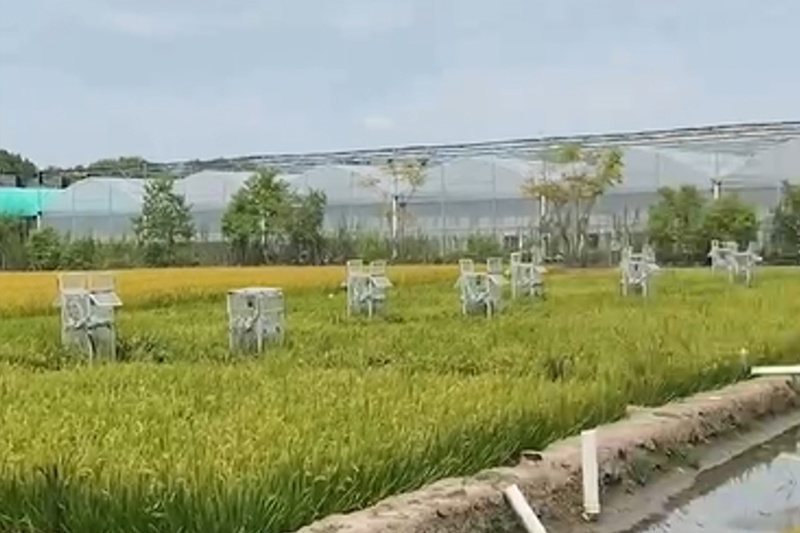 农作物呼吸排放监测